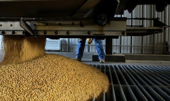 Grain